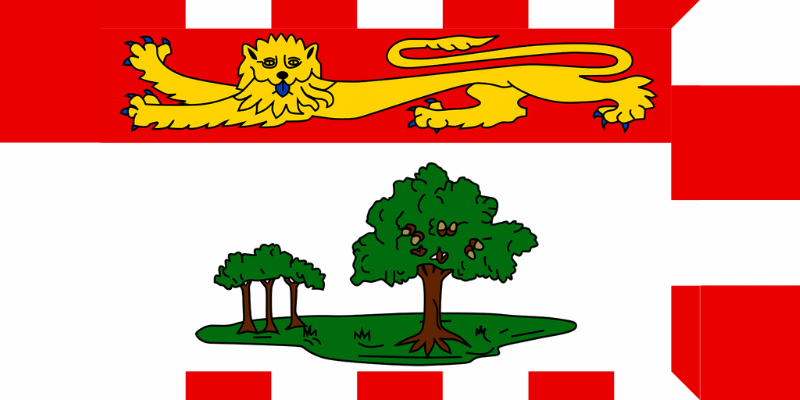 PEI Professional Corporation